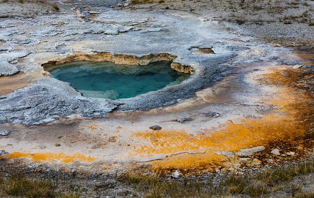 Upper Geyser Basin Spring 18-3352.jpg